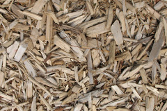 biomass boilers Graig Felen